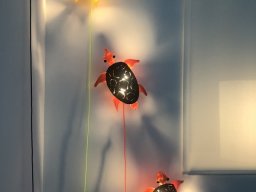 Exposición de Flyppy 2023